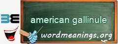 WordMeaning blackboard for american gallinule